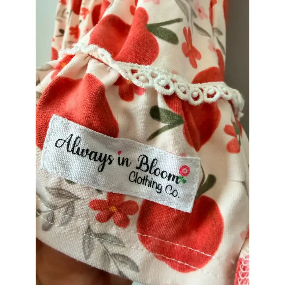 Always in Bloom Clothing Co. Vintage Apple Tunic Twirl Dress Apple Buttons Sz 3T